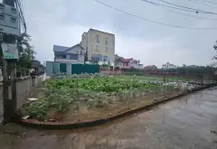 Đất Ô Tô Vào Thoải Mái Gần Đại Học Bách Khoa... Bán đất tại Văn Giang, Hưng Yên 07