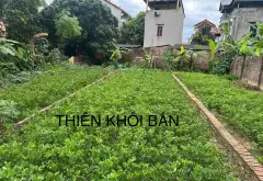 Bán đất 108m2 tại xã Trung Giã, TP Hà Nội, vị trí phong thủy tốt, đường ô tô đỗ cửa... Bán đất tại Trung Giã, Hà Nội 03