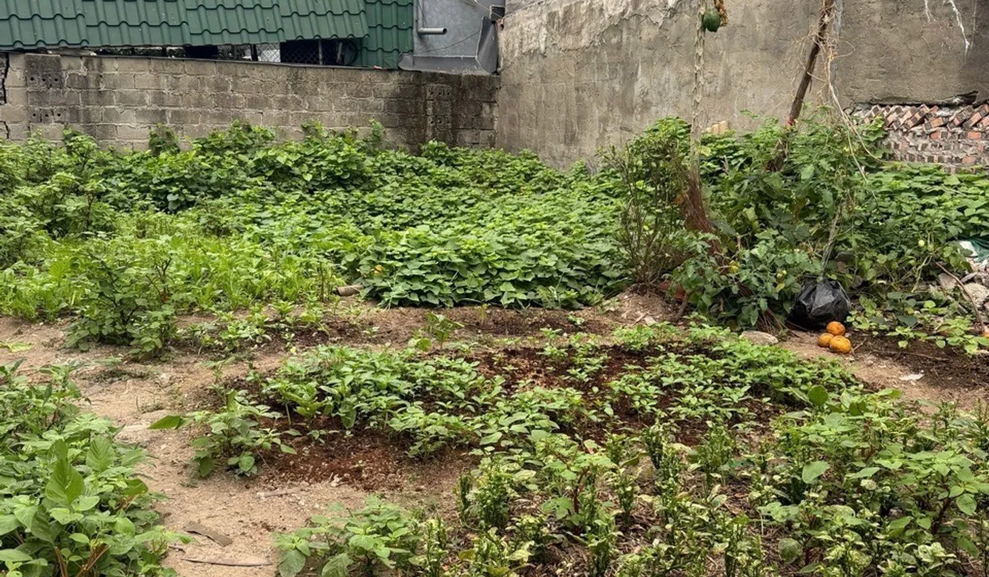 Đất đẹp 90m² mặt đường KDC An Trang - Vị trí siêu tiện lợi... Bán đất tại An Hải, Hải Phòng 01