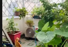 Nhà trung tâm Bình Tân, Bình Trị Đông
 4 tầng. , 6ty950. Đường xe tải tránh... Bán nhà mặt phố tại Bình Tân, Hồ Chí Minh 05
