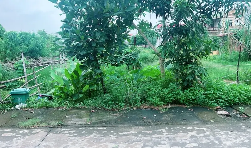Đất vàng Bắc Thượng - nơi khởi nguồn kinh doanh sôi động... Bán đất tại Sóc Sơn, Hà Nội 01