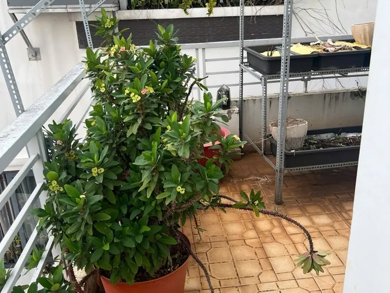 Cơ hội sở hữu nhà 3 tầng vị trí vàng Quận 10 với giá hấp dẫn... Bán nhà riêng tại Vườn Lài, Hồ Chí Minh 01