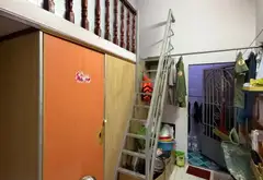 Nhà 3PN trung tâm Gò Vấp gần Lotte Mart... Bán nhà riêng tại An Hội Đông, Hồ Chí Minh 12