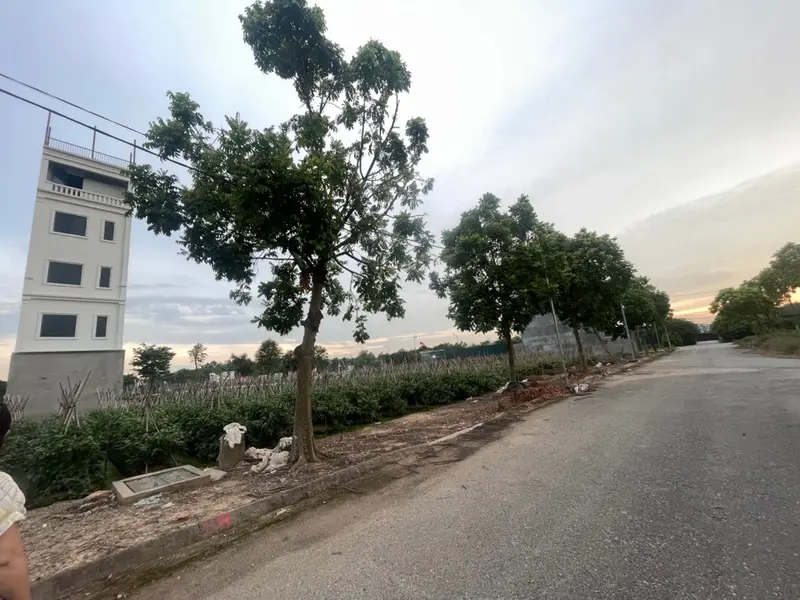 Bán đất 100m2 hướng Bắc tại Khu đô thị Cienco 5 Quang Minh, Mê Linh... Bán đất tại Quang Minh, Hà Nội 01