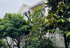 BIỆT THỰ XANH LONG VIỆT – KHU VIP, ĐÁNG SỐNG
🏡 Vị trí đẹp, giao thông thuận tiện, tiện ích bủa vây... Bán partner tại Quang Minh, Hà Nội 04