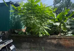 Cơ hội vàng sở hữu đất sát nhà văn hóa Vạn Phúc - Ô tô đỗ cửa, giá hợp lý... Bán nhà riêng tại Nam Phù, Hà Nội 18