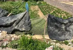 Đất đón đầu cơ hội tại Yên Tàng, Đa Phúc, Hà Nội giá tốt đáng sở hữu ngay... Bán đất tại Đa Phúc, Hà Nội 09