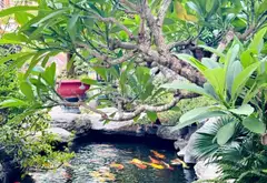 VILLA 871M² PHỐ TÂY – DÒNG TIỀN ~300TR/THÁNG – GẦN BIỂN MỸ KHÊ 0762,658,925 - 90 tỷ... Bán nhà riêng tại Ngũ Hành Sơn, Đà Nẵng 06