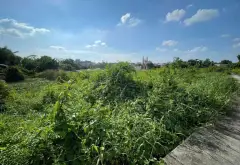 Cơ hội hiếm có sở hữu đất rộng sân bay quận 8 chỉ với 6 tỷ... Bán đất tại Bình Đông, Hồ Chí Minh 09