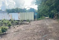 Đất Vuông Vắn Sát Đường Lớn Tại Bình Lợi, Bình Chánh... Bán đất tại Bình Lợi, Hồ Chí Minh 07