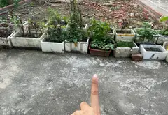 Bán đất lô góc 3 mặt thoáng tại Sóc Sơn với tiện ích đầy đủ... Bán đất tại Sóc Sơn, Hà Nội 01