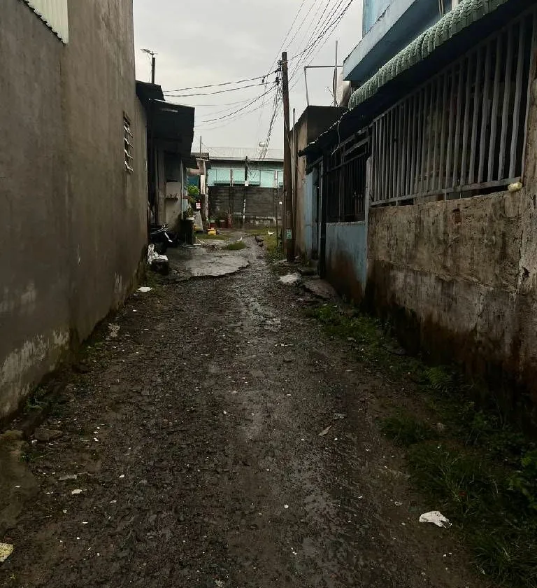 Bán đất Hồ Văn Tắng Củ Chi diện tích 231.5m2 mặt tiền 10m pháp lý rõ ràng... Bán đất tại Củ Chi, Hồ Chí Minh 01