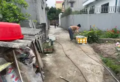 Cơ Hội Sở Hữu Đất Thượng Phúc Vị Trí Vàng Gần Sân Olympic Trống Đồng... Bán đất tại Thượng Phúc, Hà Nội 03