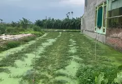 LÔ ĐẤT 150M² HƯỚNG ĐÔNG NAM TẠI KIỀU THƯỢNG AN DƯƠNG... Bán đất tại An Dương, Hải Phòng 06