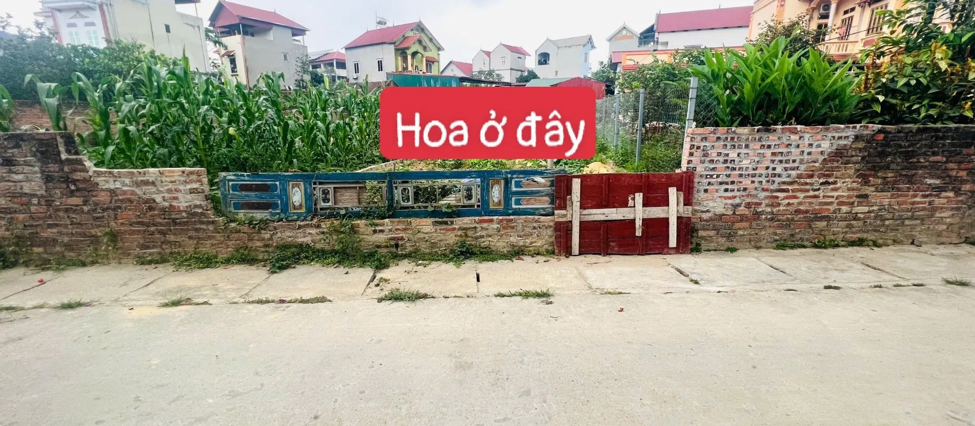 Sở hữu ngay lô đất đẹp XUÂN TÀNG, Sóc Sơn giá sốc... Bán đất tại Đa Phúc, Hà Nội 01