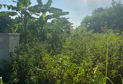 Chủ Cần Bán Gấp Lô Đất Tân Hồng Từ Sơn... Bán đất tại Từ Sơn, Bắc Ninh 03