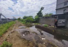 Nhà xưởng Thạnh Lộc, Quận 12, 870m2 (13 x 70), 48.8 tỷ... Bán nhà mặt phố tại An Phú Đông, Hồ Chí Minh 04