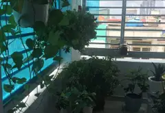 Bán nhà riêng 29m2 2 tầng hướng Nam tại quận 10... Bán nhà riêng tại Hòa Hưng, Hồ Chí Minh 02