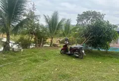 Khu nghỉ dưỡng vườn cây ao cá siêu đẹp tại Trung Giã... Bán đất tại Trung Giã, Hà Nội 05