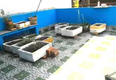 Bán nhà riêng 2 tầng tại phường 12 quận Gò Vấp, diện tích 68m², giá 4.93 tỷ... Bán nhà riêng tại An Hội Tây, Hồ Chí Minh 07