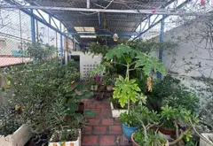 NHÀ NÁT LÀM CHDV, GẦN BỆNH VIỆN THỐNG NHẤT, GẦN CƯ XÁ TỰ DO - 2Tầng-Ngang 5m - Bành Văn Trân... Bán nhà riêng tại Tân Sơn Nhất, Hồ Chí Minh 11
