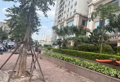 [Tin xác thực] Shophouse vị trí vàng tại Gelexia Tam Trinh với dòng tiền ổn định / 163m/ 12 tỷ... Bán Shophouse tại Hoàng Mai, Hà Nội 02