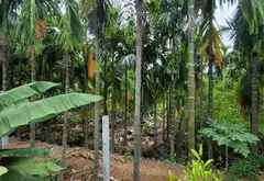 Bán nhà mặt phố diện tích 266m2 tại Nhị Bình, Hóc Môn... Bán nhà mặt phố tại Đông Thạnh, Hồ Chí Minh 04
