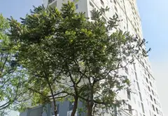 Căn hộ xanh trung tâm Hà Đông, tiện nghi đầy đủ... Bán căn hộ chung cư tại Kiến Hưng, Hà Nội 01