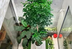 Biệt thự liền kề 128m², 8x18m, 5 Tầng- Phường Tân Sơn - 23.5 tỷ VNĐ... Bán biệt thự, liền kề tại An Hội Tây, Hồ Chí Minh 02
