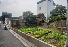 Bán đất mặt tiền 8m tại Du Nội, giá ưu đãi giảm 200 triệu... Bán đất tại Đông Anh, Hà Nội 01