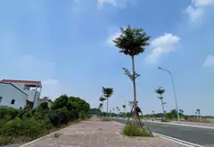 Cơ hội sở hữu đất vàng trung tâm Đông Tảo - Đầu tư sinh lời vượt trội... Bán đất tại Hoàn Long, Hưng Yên 02