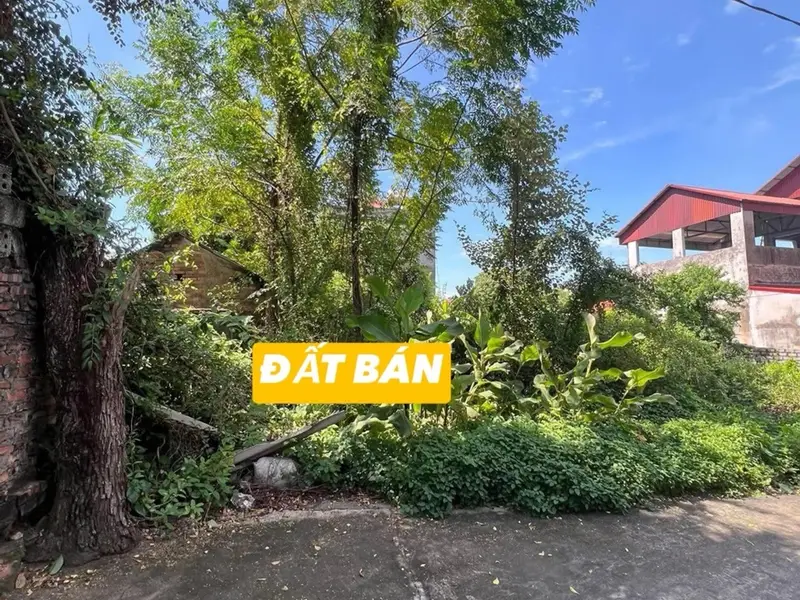 Bán đất phường Cảnh Thụy, Bắc Ninh, 102m² giá 1.05 tỷ... Bán đất tại Cảnh Thụy, Bắc Ninh 01