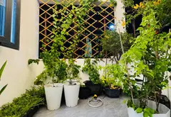 Nhà 4 tầng 39m2, 4 phòng ngủ, hẻm xe tải giá 6.6 tỷ... Bán nhà riêng tại Thông Tây Hội, Hồ Chí Minh 14