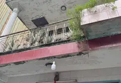 🔥 NHỈNH 4 TỶ – NHÀ 52M² SÁT CÔNG AN PHƯỜNG AN HỘI TÂY 🔥
🏡 NHÀ ĐẸP – HẺM THÔNG RỘNG – GI.Á CỰC HẤ... Bán nhà riêng tại An Hội Tây, Hồ Chí Minh 04