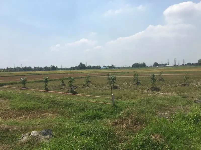 Đất vườn rộng 630m2 giá siêu tốt tại xã Nhuận Đức... Bán đất tại Củ Chi, Hồ Chí Minh 01