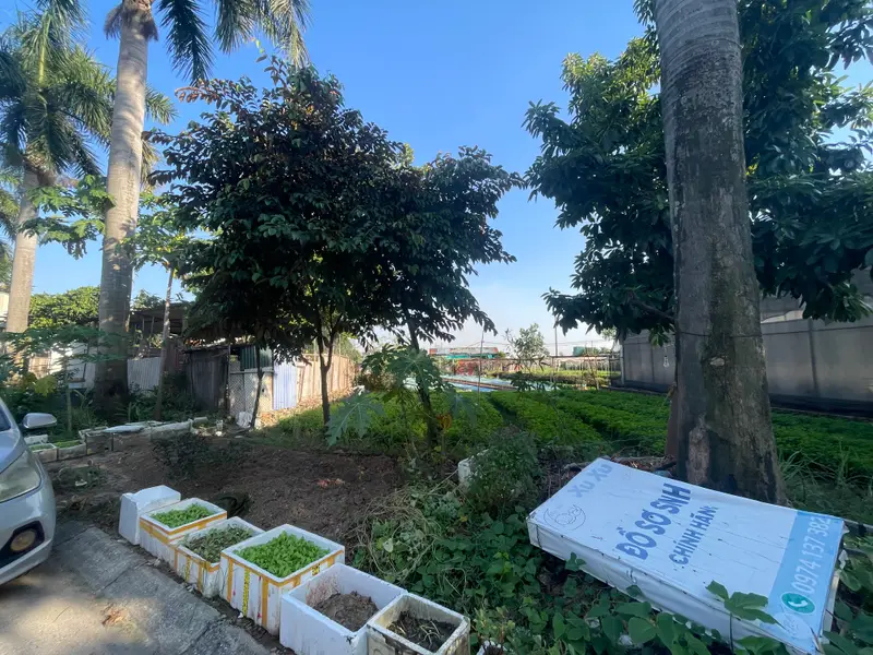 Thửa đất vuông vắn, vị trí đỉnh tại Võ Cường, Bắc Ninh chỉ từ 5xxx xung quanh đang có dự an đh... Bán đất tại Võ Cường, Bắc Ninh 01