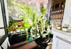 CHÍNH CHỦ BÁN BIỆT THỰ ĐI ĐỊNH CƯ - NGAY GÒ XOÀI BÌNH TÂN – 170M² – LÔ GÓC – NGANG 12M – GIÁ 25 TỶ... Bán nhà mặt phố tại Bình Hưng Hòa, Hồ Chí Minh 04