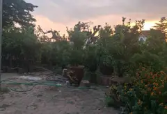 Cơ hội sở hữu lô góc đất 3 mặt thoáng tại Văn Giang, Hưng Yên cực hiếm... Bán đất tại Văn Giang, Hưng Yên 07