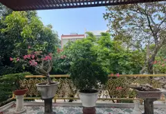 Ngũ Hành Sơn, SIÊU PHẨM BIỆT THỰ ĐẲNG CẤP 285M2– VỊ TRÍ ĐẸP – GIÁ TỐT CHỈ 32 TỶ – 0762,658,925... Bán nhà mặt phố tại Ngũ Hành Sơn, Đà Nẵng 10