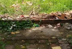 Bán đất Nguyên Khê, 80m², mặt tiền 5.2m, gần khu Vin Bắc Hồng... Bán đất tại Phúc Thịnh, Hà Nội 04