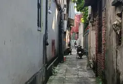 Lô đất vàng Doi Sóc giá đầu tư siêu hấp dẫn... Bán đất tại Từ Sơn, Bắc Ninh 10