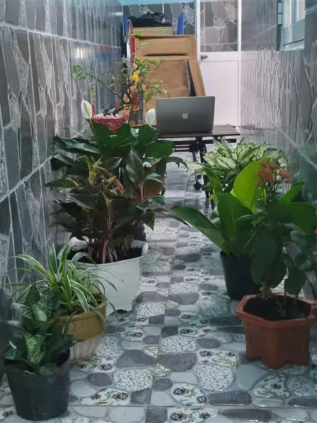 Cơ hội sở hữu nhà cấp 4 mới đẹp tại xã Bà Điểm giá tốt.Trục đường Bà Điểm 9... Bán nhà riêng tại Bà Điểm, Hồ Chí Minh 01