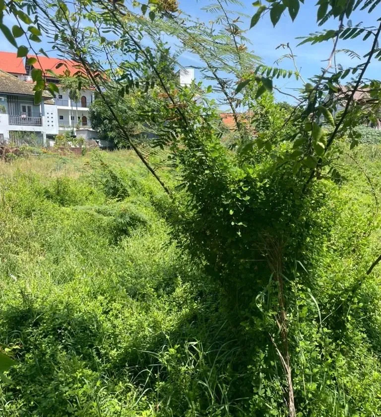 Bán đất mặt tiền đường Cửa Đại, Hội An, diện tích 1957m2, view sông, pháp lý cơ sở... Bán đất tại Hội An, Đà Nẵng 01