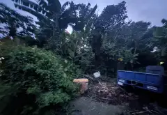 Đất nền vị trí thuận tiện tại quận Hải Phòng với diện tích 114 m²... Bán đất tại Hồng Bàng, Hải Phòng 02