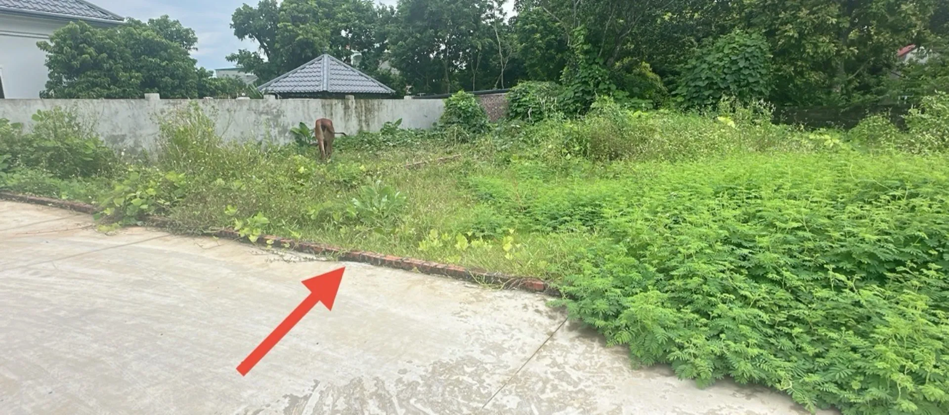 Bán đất thổ cư tại xã gần sân bay Nội Bài, mặt tiền rộng, pháp lý rõ ràng... Bán đất tại Kim Anh, Hà Nội 01