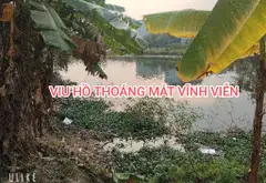 Đất Vàng Nhà Máy Z117 Vị Trí Đắc Địa, Giá Tốt... Bán đất tại Sóc Sơn, Hà Nội 12