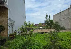 Cơ hội sở hữu đất mặt đường 22m đẹp nhất khu vực với giá cắt lỗ... Bán đất tại Yên Phong, Bắc Ninh 02