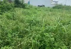 Đất nền biệt thự rộng rãi tại xã Hoà Bình, Thủy Nguyên với mặt tiền lớn... Bán đất tại Thủy Nguyên, Hải Phòng 02