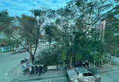 Bán văn phòng 7 tầng tại Cổ Linh với mặt tiền 6.7m, giá 43 tỷ đồng... Bán văn phòng tại Long Biên, Hà Nội 02