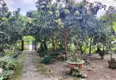 BÁN ĐẤT TẶNG NHÀ TẠI SƠN PHƯỚC HÒA NINH – HÒA VANG (NAY LÀ XÃ BÀ NÀ)... Bán nhà mặt phố tại Bà Nà, Đà Nẵng 04